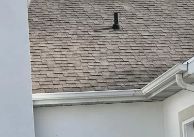Professional Roofing