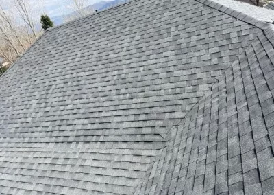 Roofing Services (1)